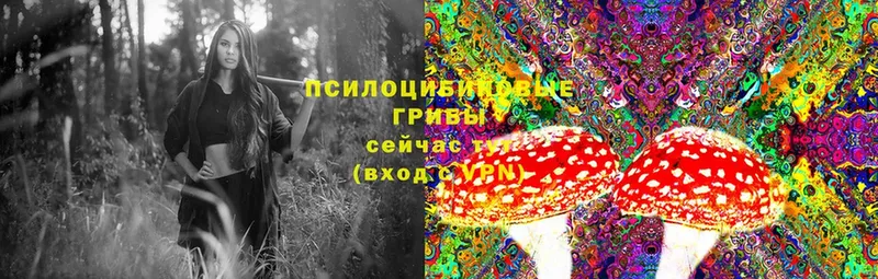 Галлюциногенные грибы MAGIC MUSHROOMS  наркошоп  Аша 